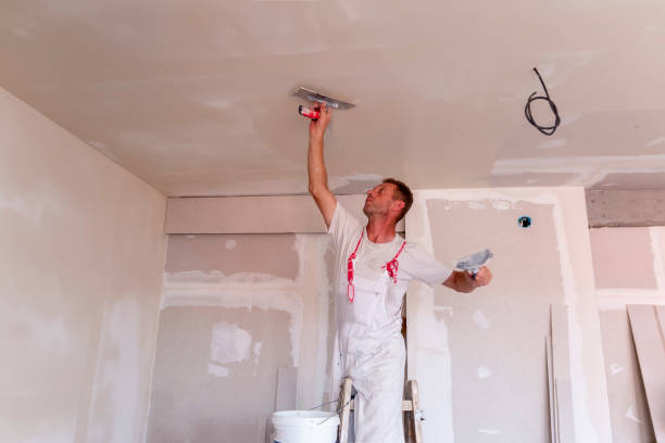 Best Drywall for New Construction  in Ettrick, VA